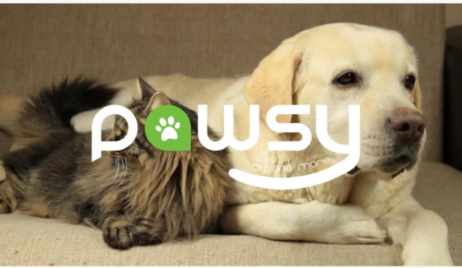 سلامت حیوانات